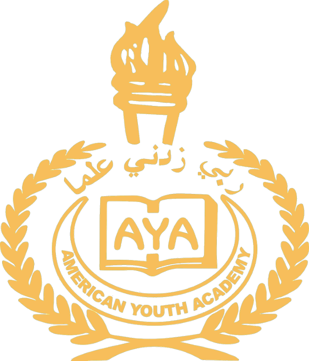  American Youth Academy