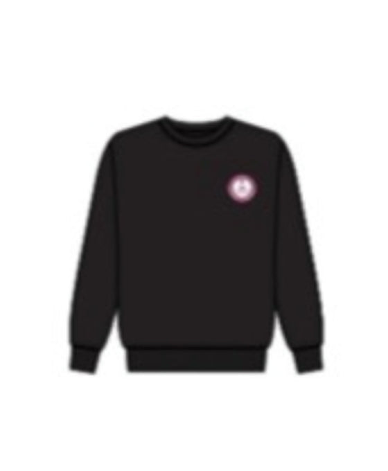 AL-NOOR SCHOOL SWEAT SHIRT